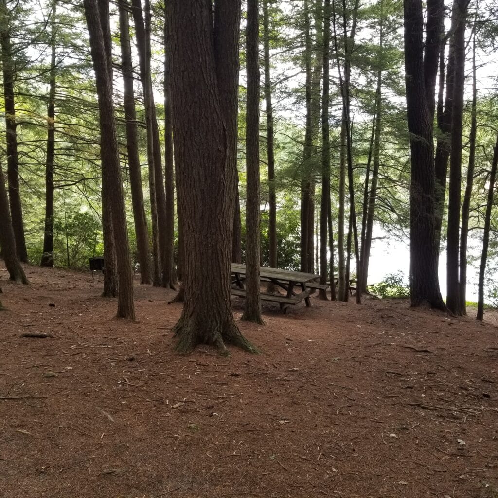 A Day Dream at Raymond B. Winter State Park Penelope Percival Travels